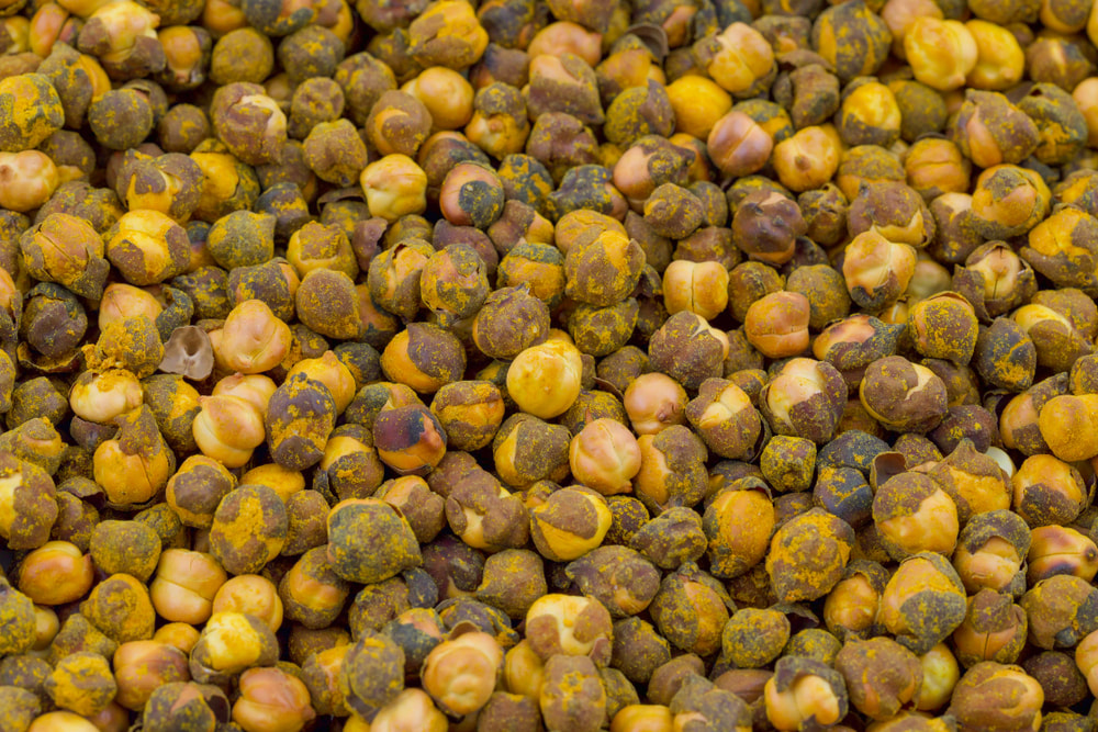 dry-chana-1