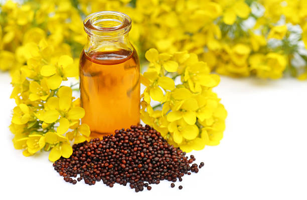 mustard-seed-oil