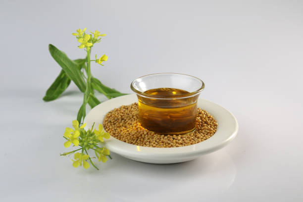 cold-pressed-yellow-mustard-oil